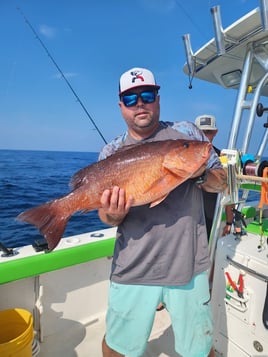 6hr offshore fishing