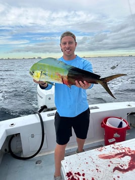 Mahi Mahi Fishing in Fort Lauderdale, Florida