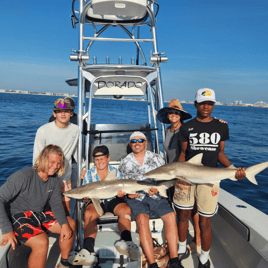 shark charter