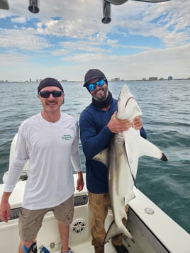 Blacktip Shark Fishing in New Smyrna Beach, Florida