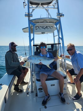 Jack Crevalle Fishing in New Smyrna Beach, Florida