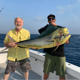 Mahi Mahi Fishing in Fort Lauderdale, Florida