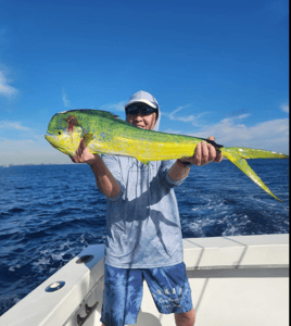 Mahi Mahi Fishing in Fort Lauderdale, Florida