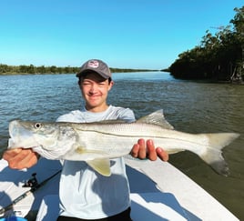 Everglades National Park Half Day