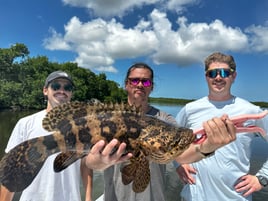 Everglades National Park Half Day