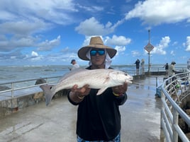 Tarpon Fishing in Homestead, Florida