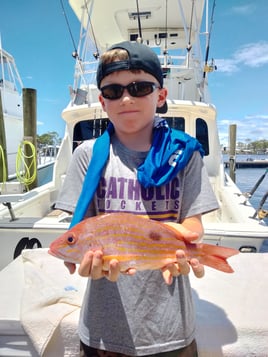 Lane Snapper Fishing in Orange Beach, Alabama