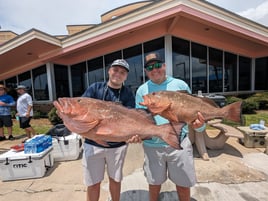 New Beginning Deep Sea Fishing