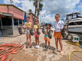 New Beginning Deep Sea Fishing