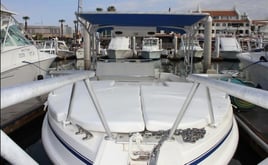 Boat blue marlin 30 ft