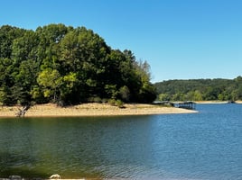 Tyler's Beaver Lake Bass Charters