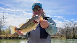 Tyler's Beaver Lake Bass Charters