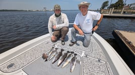 Mangrove Snapper, Speckled Trout Fishing in Jacksonville, Florida