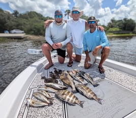 Black Drum, Sheepshead, Speckled Trout Fishing in Jacksonville, Florida