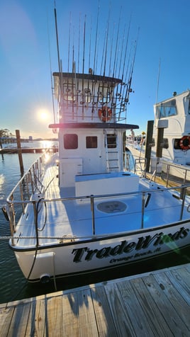 4 hour AM fishing trip aboard the Tradewinds