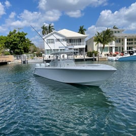 Miami Beach Deep Sea