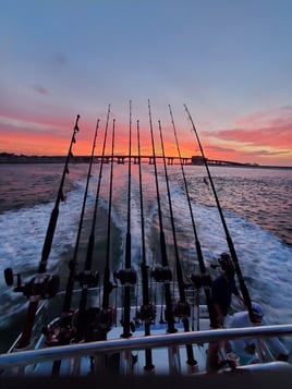 10 hr fishing trip on TradeWinds