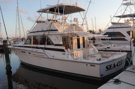 Deep Sea Fishing Charter (Private)