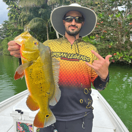 Peacock Bass Fishing in Miami, Florida