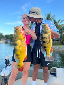 Peacock Bass Fishing in Miami, Florida