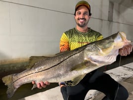 Snook Fishing in Miami, Florida