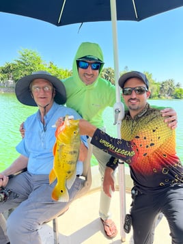 Peacock Bass Fishing in Miami, Florida