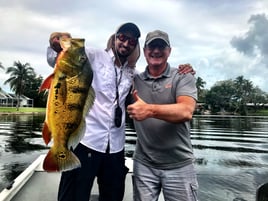 Peacock Bass Fishing in Miami, Florida