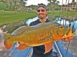 Peacock Bass Fishing in Miami, Florida