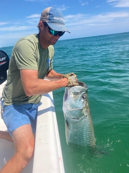 Tarpon Fishing