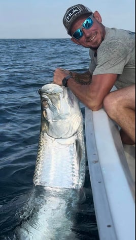 Tarpon Fishing