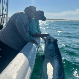 Tarpon Fishing