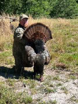 Osceola Turkey Hunts