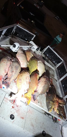 Resinater Bowfishing Charters