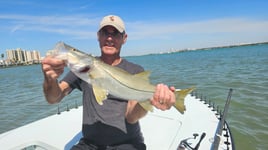 Snook Fishing in Clearwater, Florida