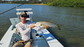 Snook Fishing in Clearwater, Florida