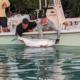 Tarpon Fishing in Key West, Florida