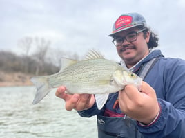 Brazos River Fly Fishing