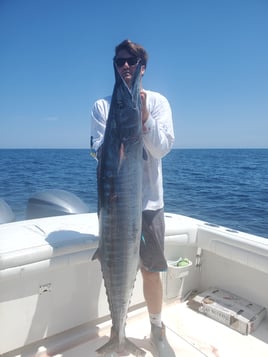 Wahoo Fishing in Jupiter, Florida