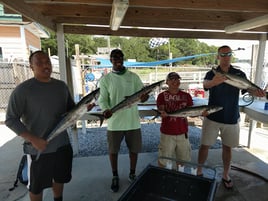 Spanish Mackerel Trolling