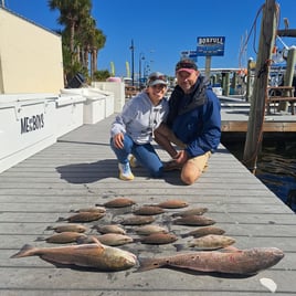 Mangrove Snapper, Redfish Fishing in Panama City Beach, Florida