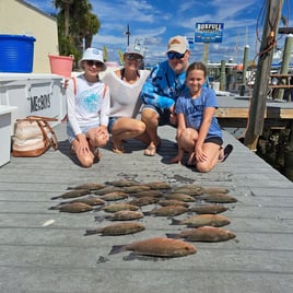 Mangrove Snapper Fishing in Panama City Beach, Florida