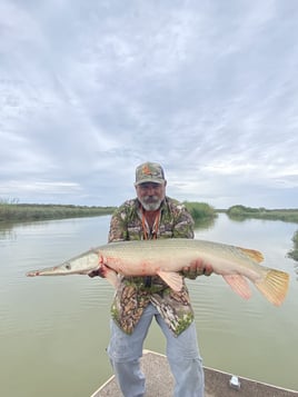 Alligator Gar Fishing in Port Mansfield, Texas