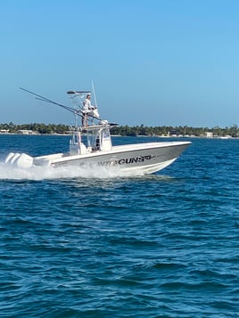 Mahi and tuna