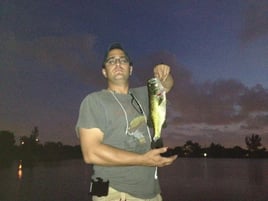 Everglades fishing