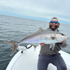 Offshore Reefs and Pelagics