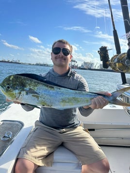 Mahi Mahi Fishing in Fort Lauderdale, Florida