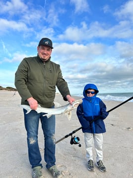 Shark and Surf Fishing Combo