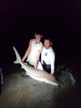 Shark and Surf Fishing Combo