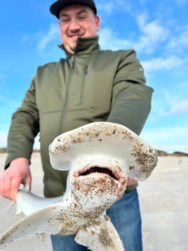 Bonnethead Shark Fishing in Melbourne Beach, Florida