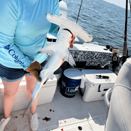 Bonnethead Shark Fishing in Charleston, South Carolina